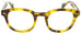 Edward Beiner Collection-Kacey-999-03A - Tokyo Tortoise 