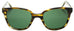 Edward Beiner Collection-Linda-999-91 - Tortoise