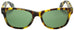 Edward Beiner Collection-Isaac-999-03s- Tortoise